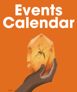 Adult Event Button