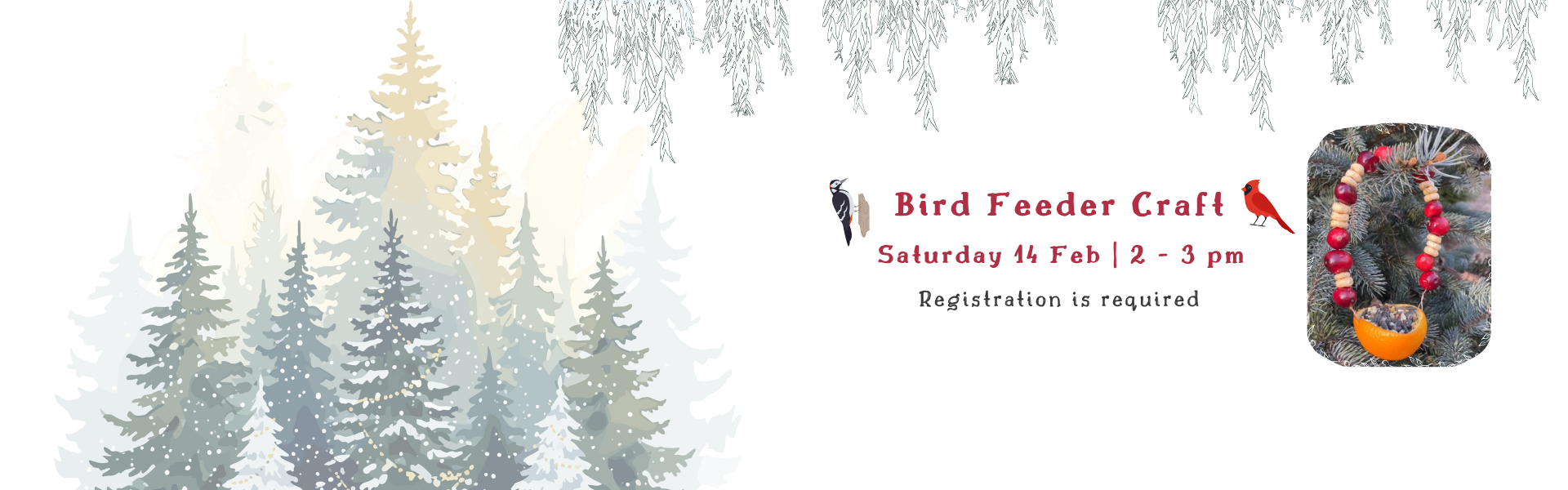 bird feeder craft saturday February 14th 2:00pm