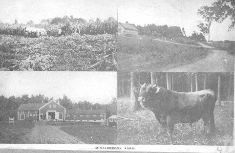 Middlebrook Farm.jpg