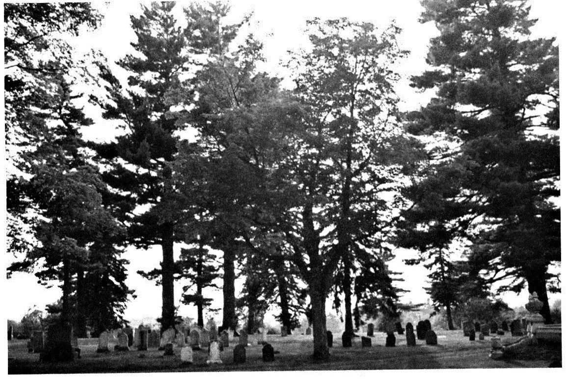 Pine Hill Cemetery