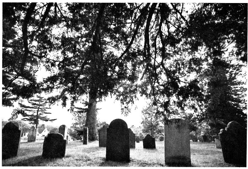 Pine Hill Cemetery