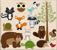 Forest Animals