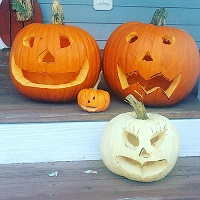 Jack o Lantern