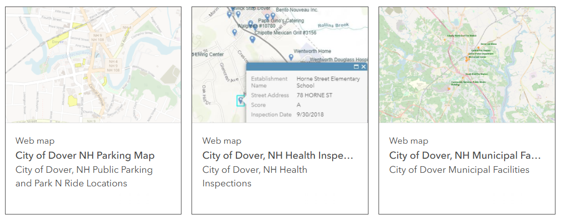 Screenshot of City of Dover's ArcGIS site displaying different visual maps available for the public