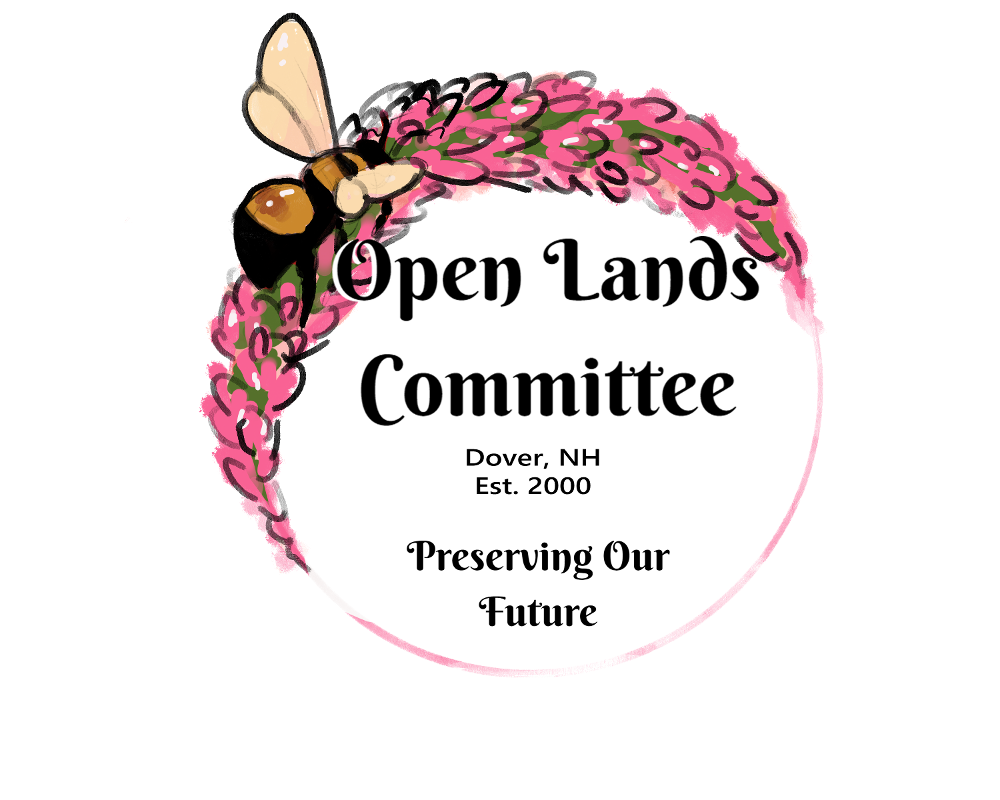 Open Lands logo